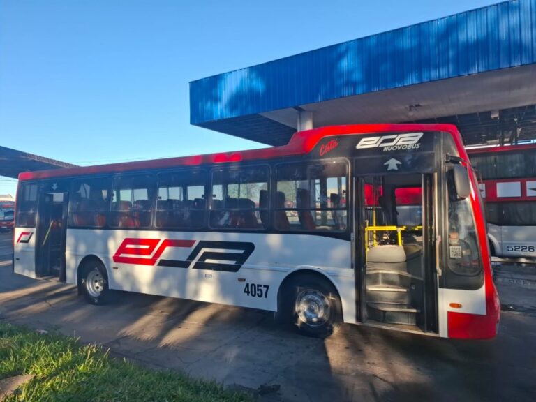 El transporte urbano de Santa Fe incorporará 28 colectivos para renovar la flota