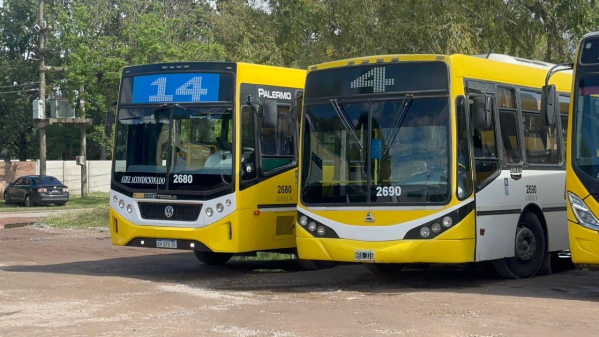 Colectivos urbanos de las líneas 14 y 4 de la ciudad de Santa Fe