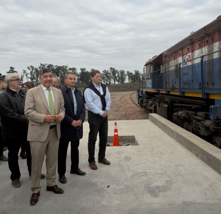 Vagones ferroviarios en el desvío reactivado del Ingenio Cruz Alta, Tucumán.