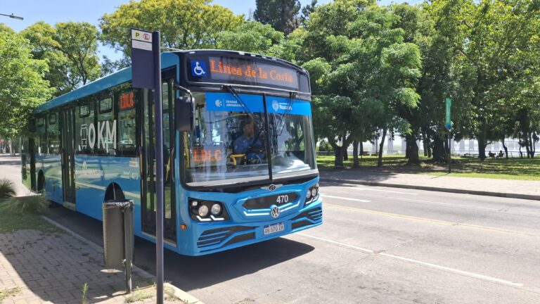 Colectivo de la Línea de la Costa de Rosario