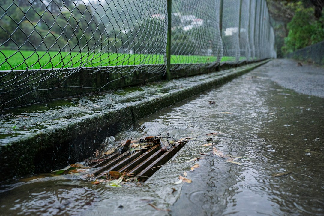 Agua de lluvia escurriendo hacia un drenaje vial